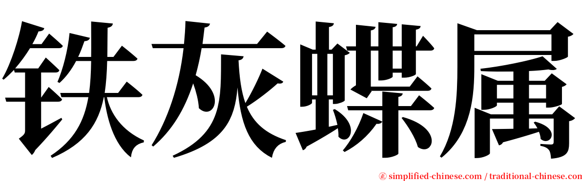 铁灰蝶属 serif font