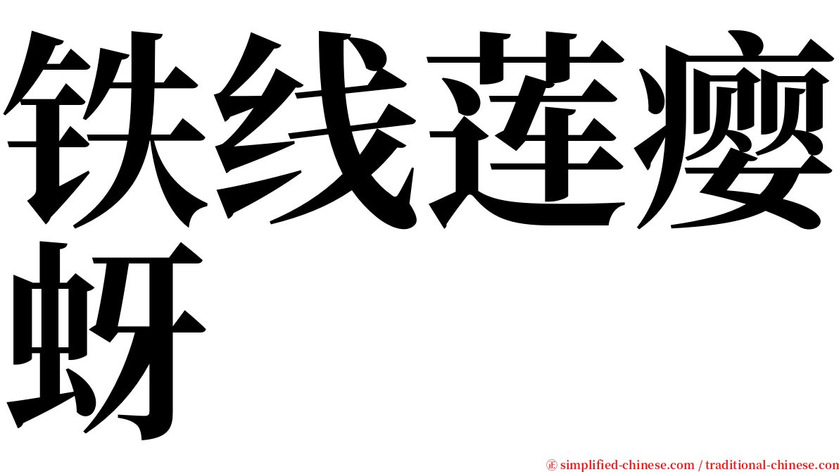 铁线莲瘿蚜 serif font