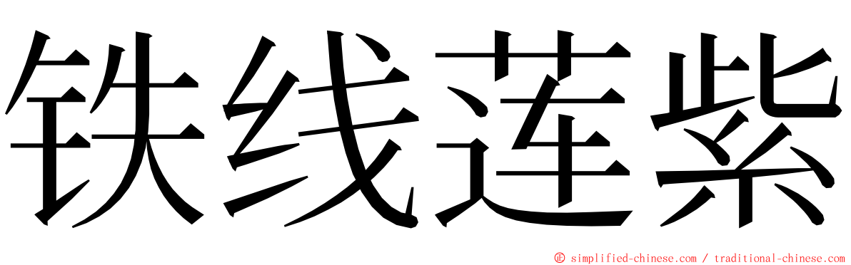 铁线莲紫 ming font