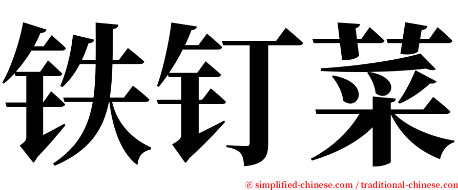 铁钉菜 serif font