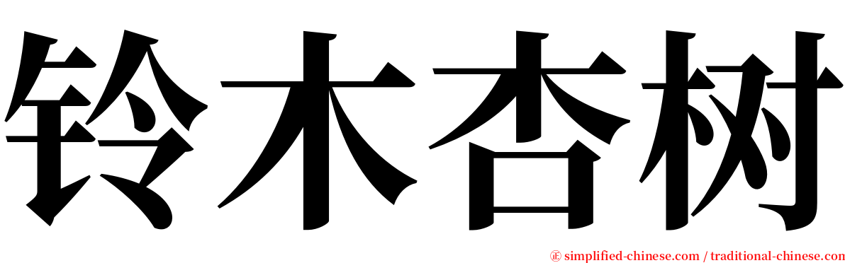 铃木杏树 serif font