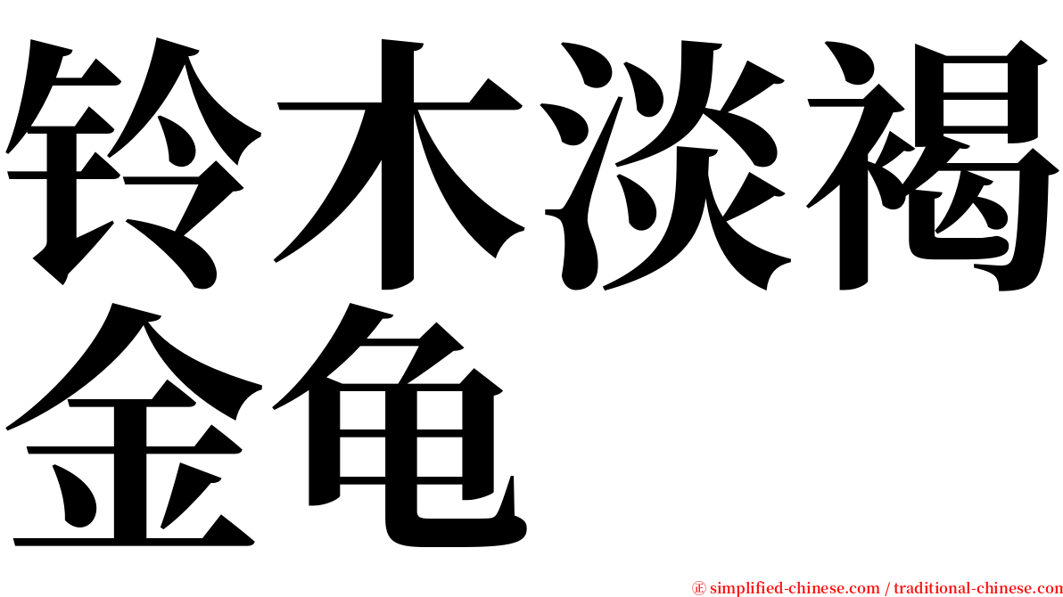 铃木淡褐金龟 serif font