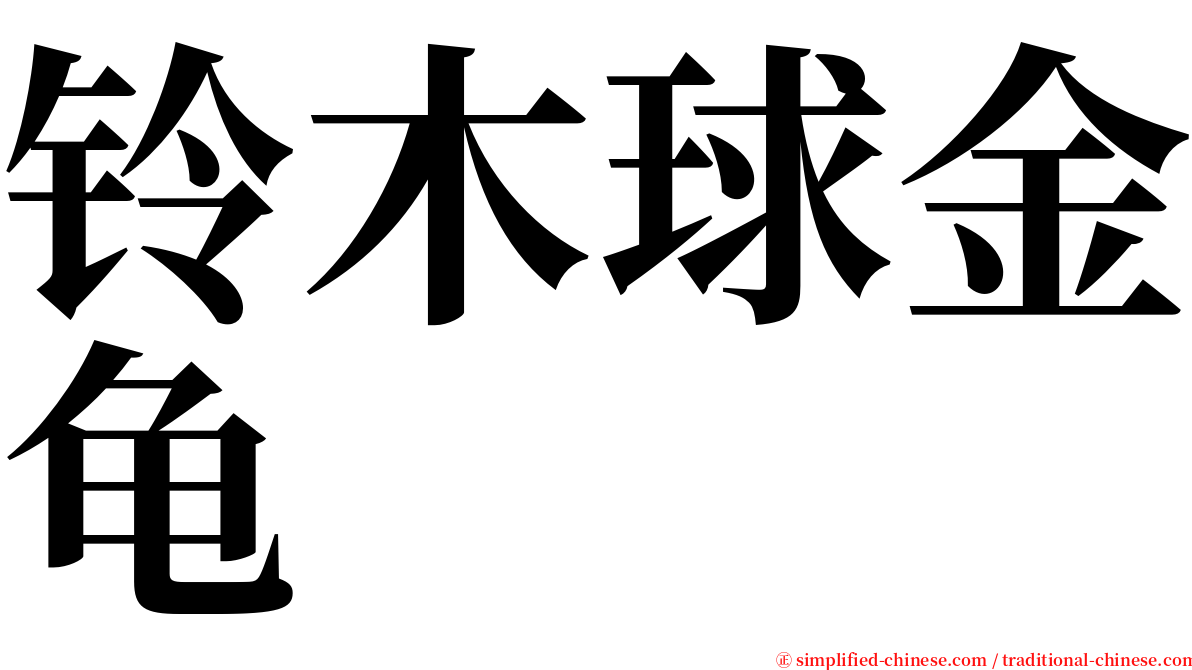 铃木球金龟 serif font