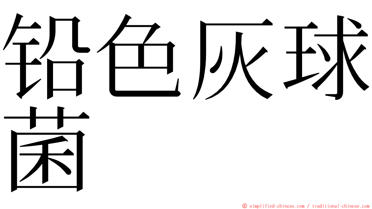 铅色灰球菌 ming font