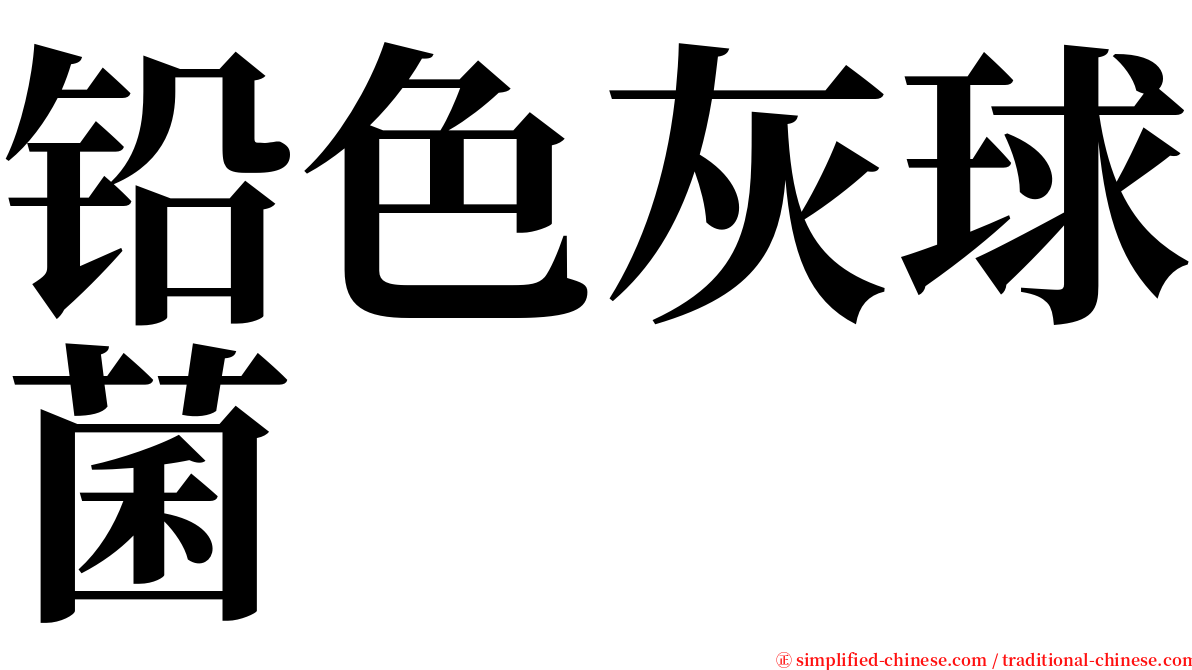 铅色灰球菌 serif font