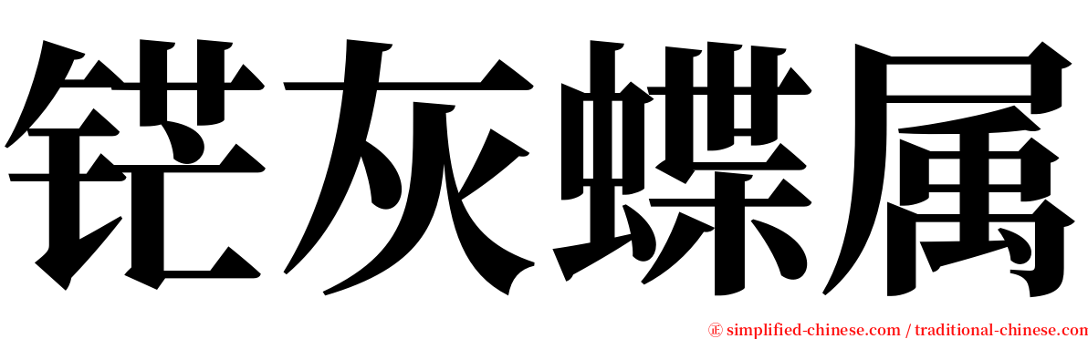 铓灰蝶属 serif font