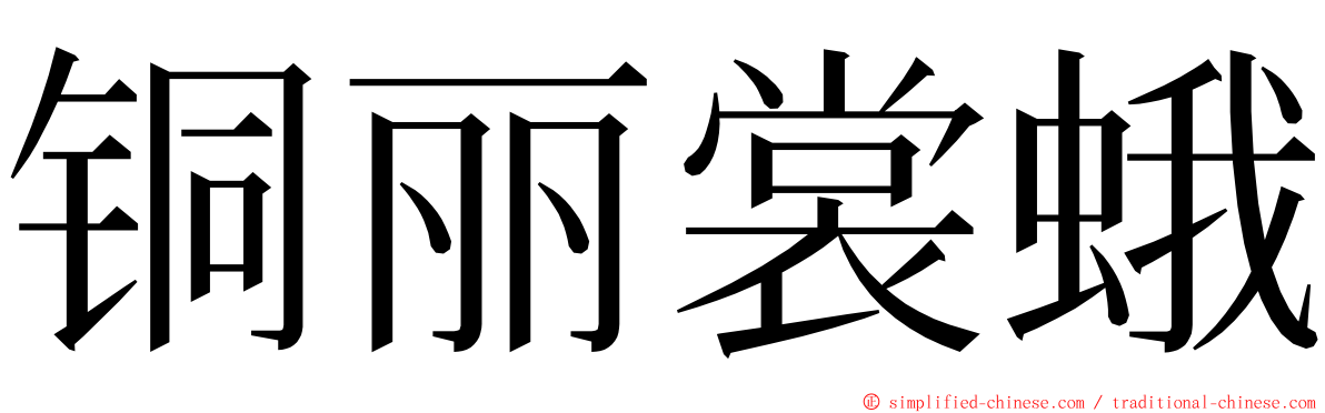 铜丽裳蛾 ming font