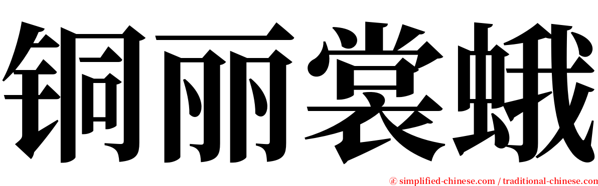 铜丽裳蛾 serif font