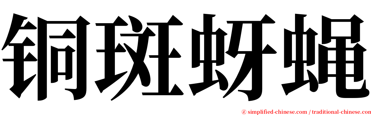 铜斑蚜蝇 serif font