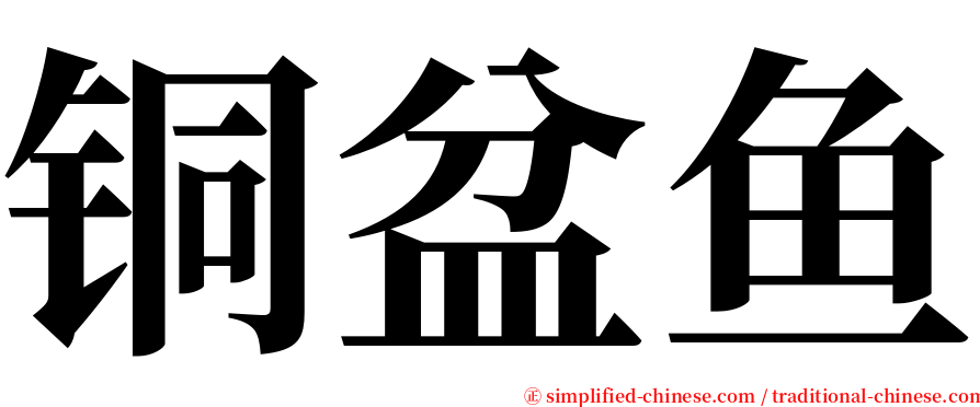 铜盆鱼 serif font