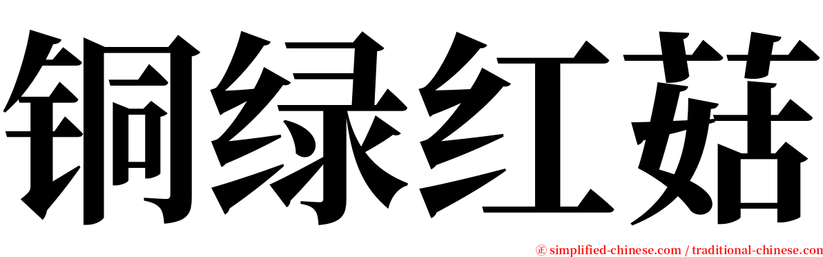 铜绿红菇 serif font