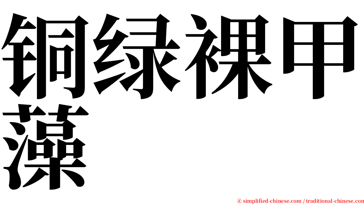 铜绿裸甲藻 serif font