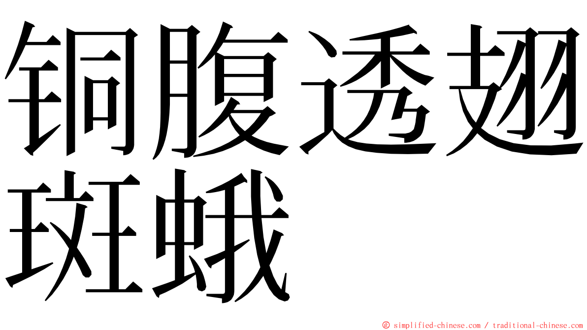 铜腹透翅斑蛾 ming font