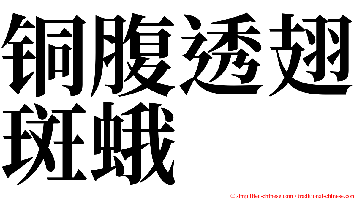 铜腹透翅斑蛾 serif font