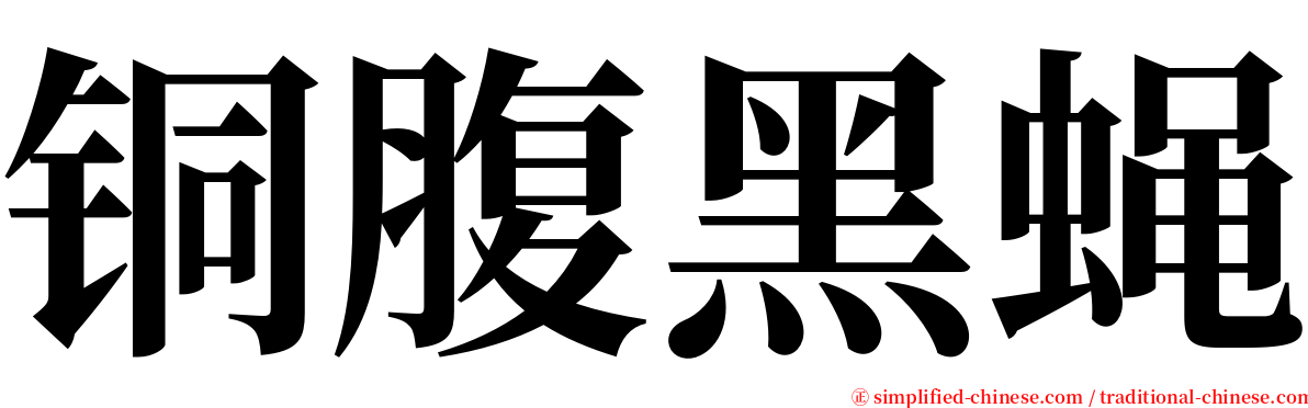 铜腹黑蝇 serif font