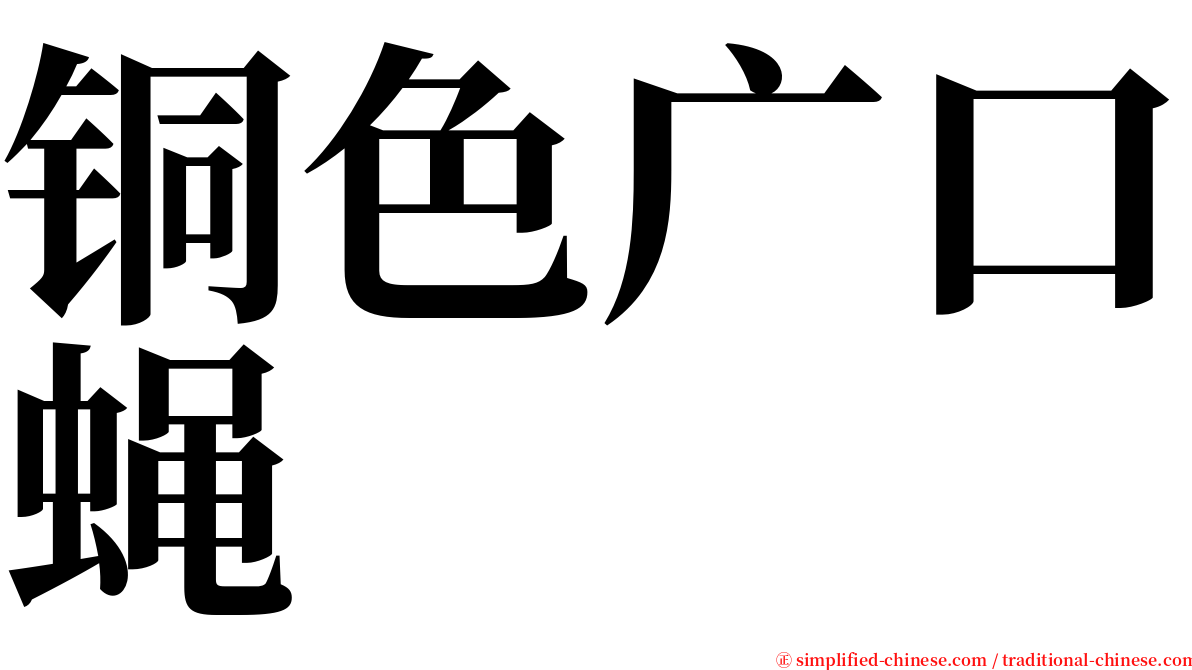 铜色广口蝇 serif font