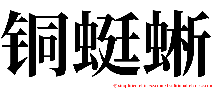 铜蜓蜥 serif font