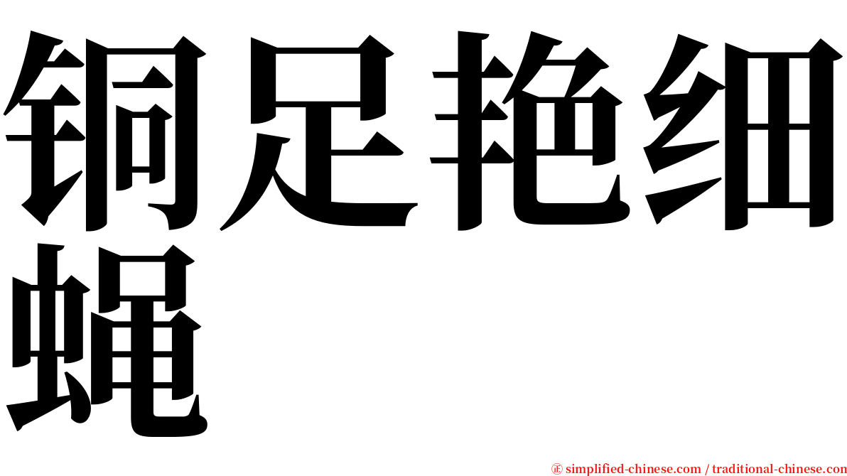 铜足艳细蝇 serif font