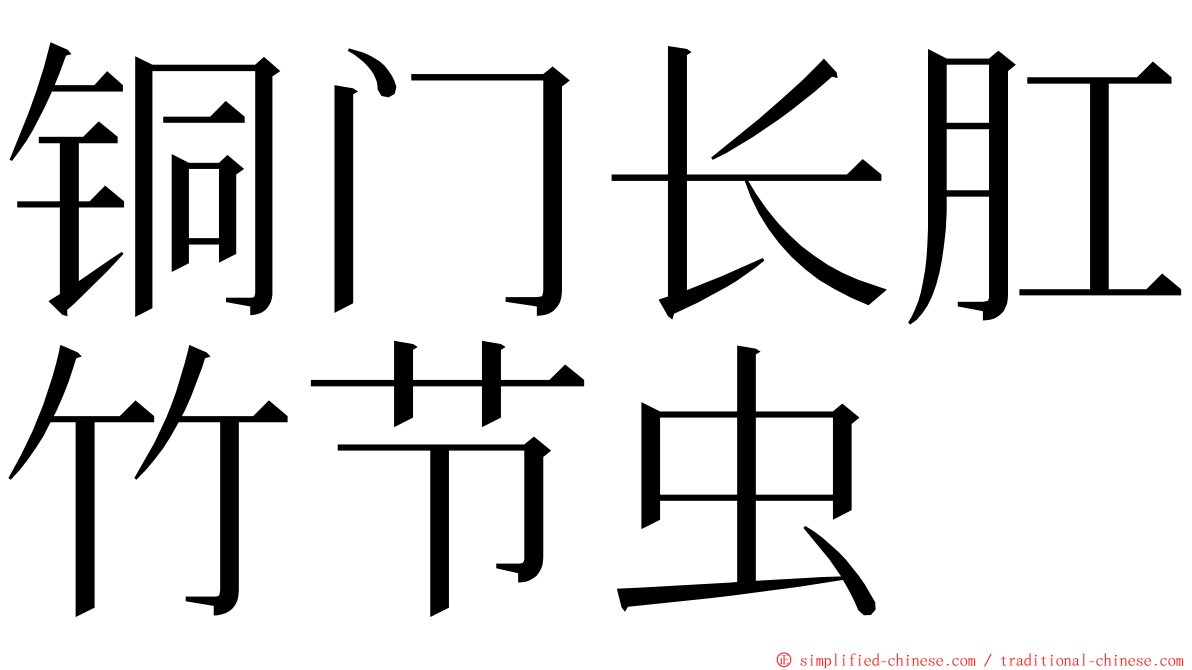 铜门长肛竹节虫 ming font