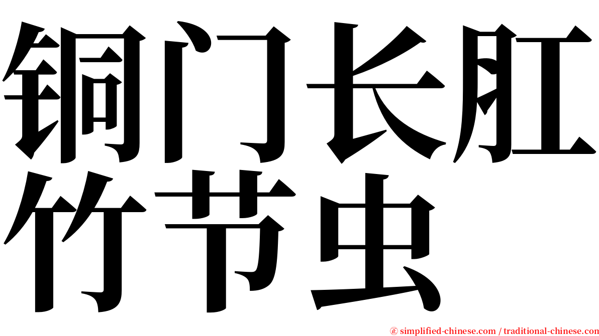 铜门长肛竹节虫 serif font