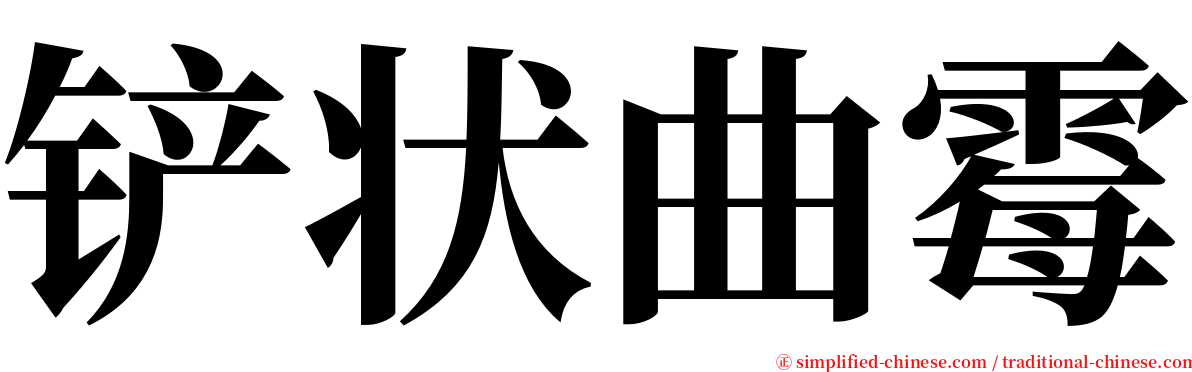 铲状曲霉 serif font