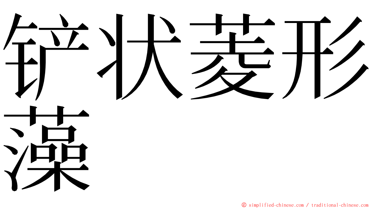 铲状菱形藻 ming font