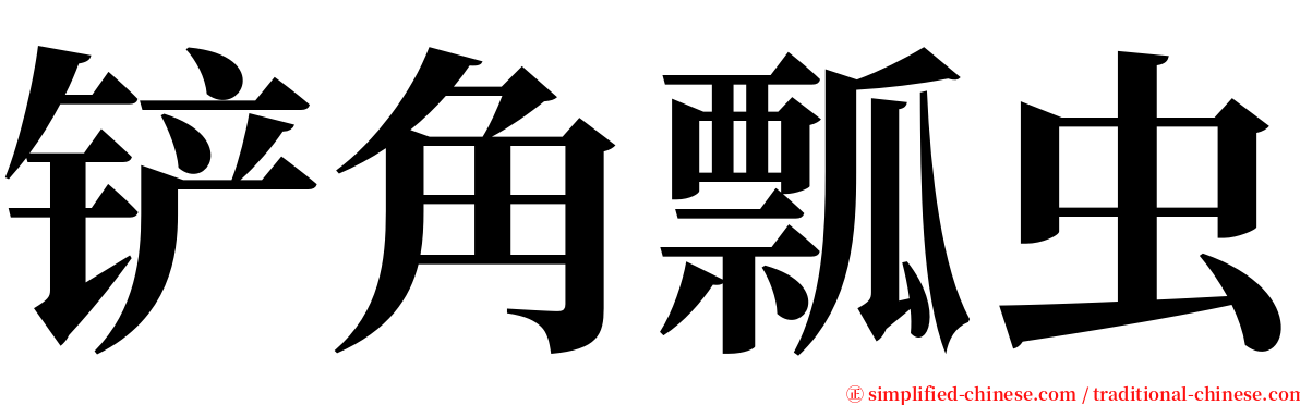 铲角瓢虫 serif font