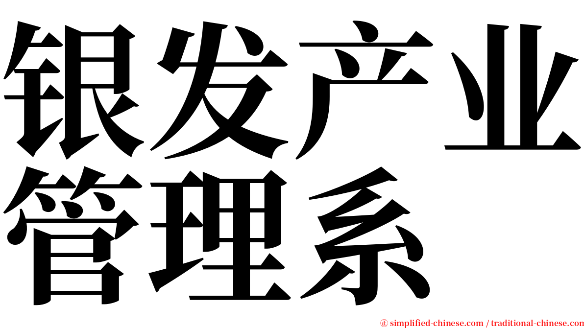 银发产业管理系 serif font