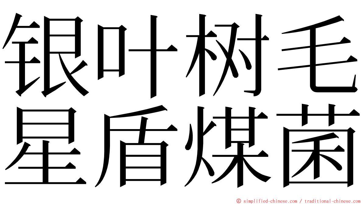 银叶树毛星盾煤菌 ming font