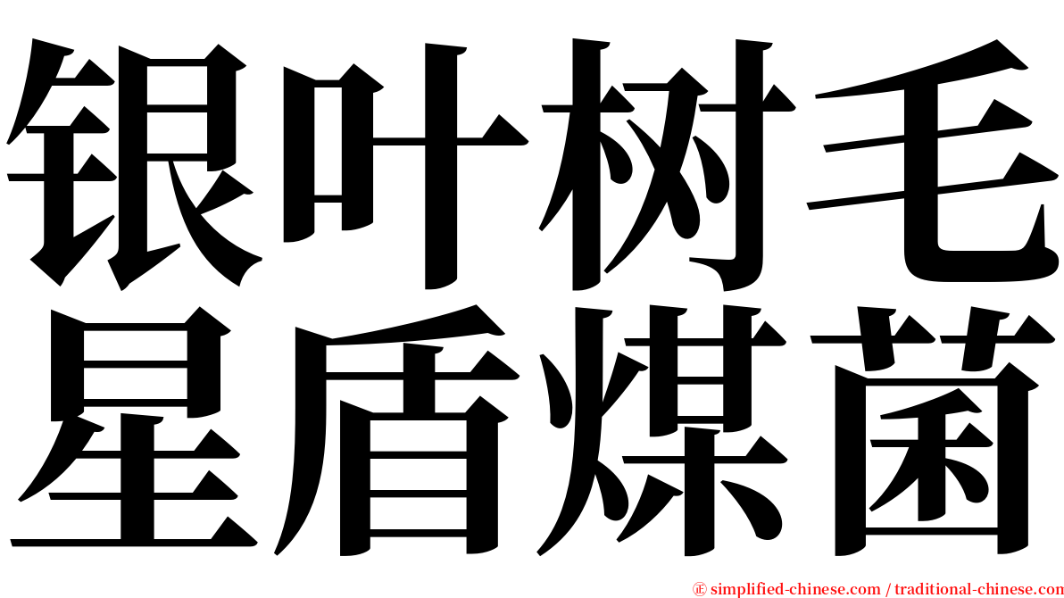 银叶树毛星盾煤菌 serif font