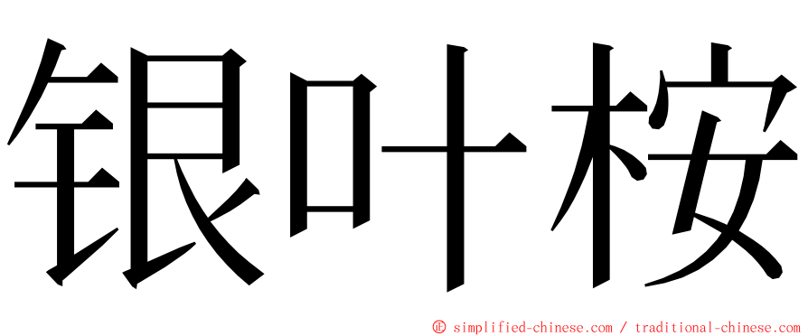 银叶桉 ming font