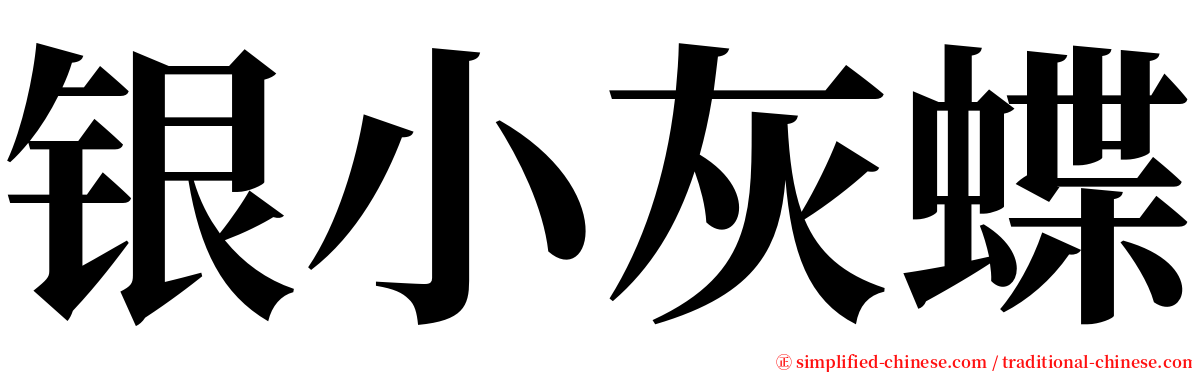 银小灰蝶 serif font