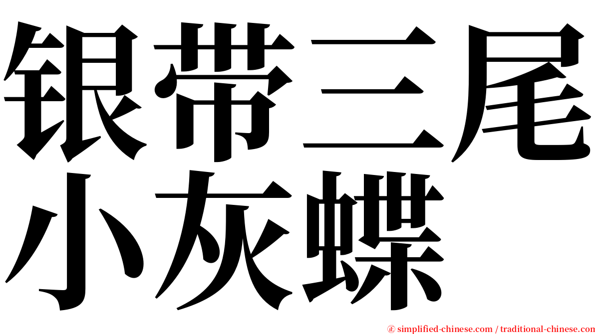 银带三尾小灰蝶 serif font