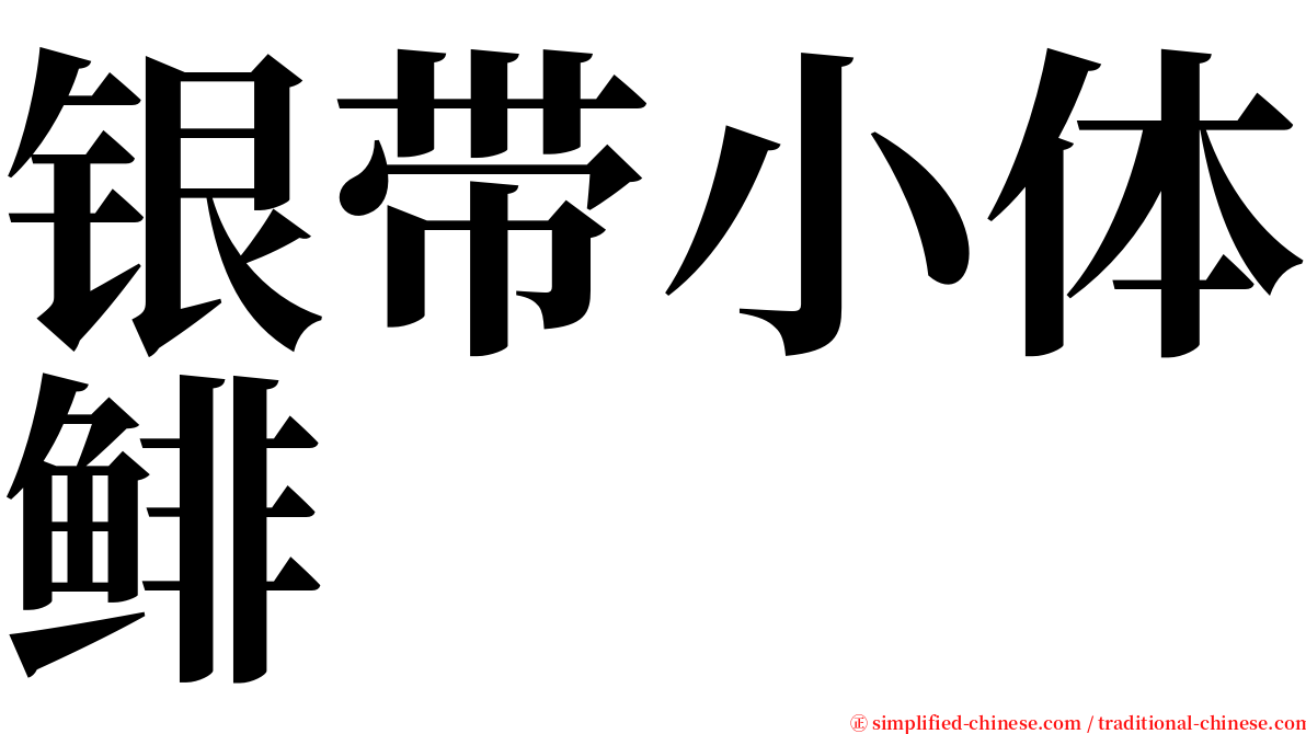 银带小体鲱 serif font