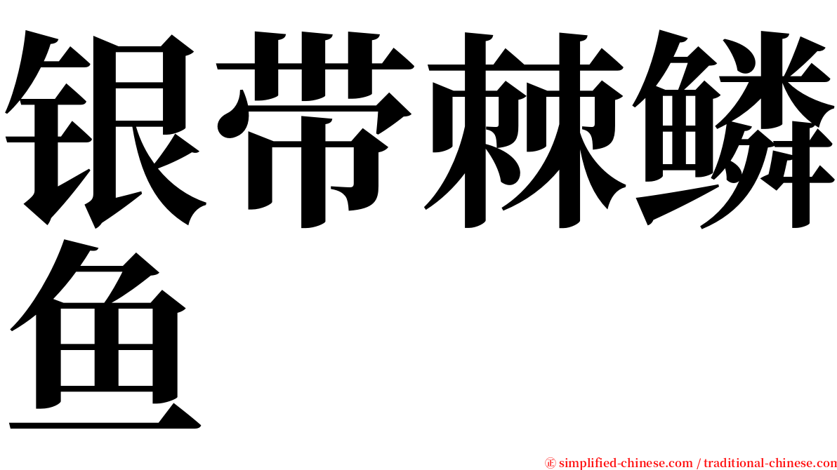 银带棘鳞鱼 serif font