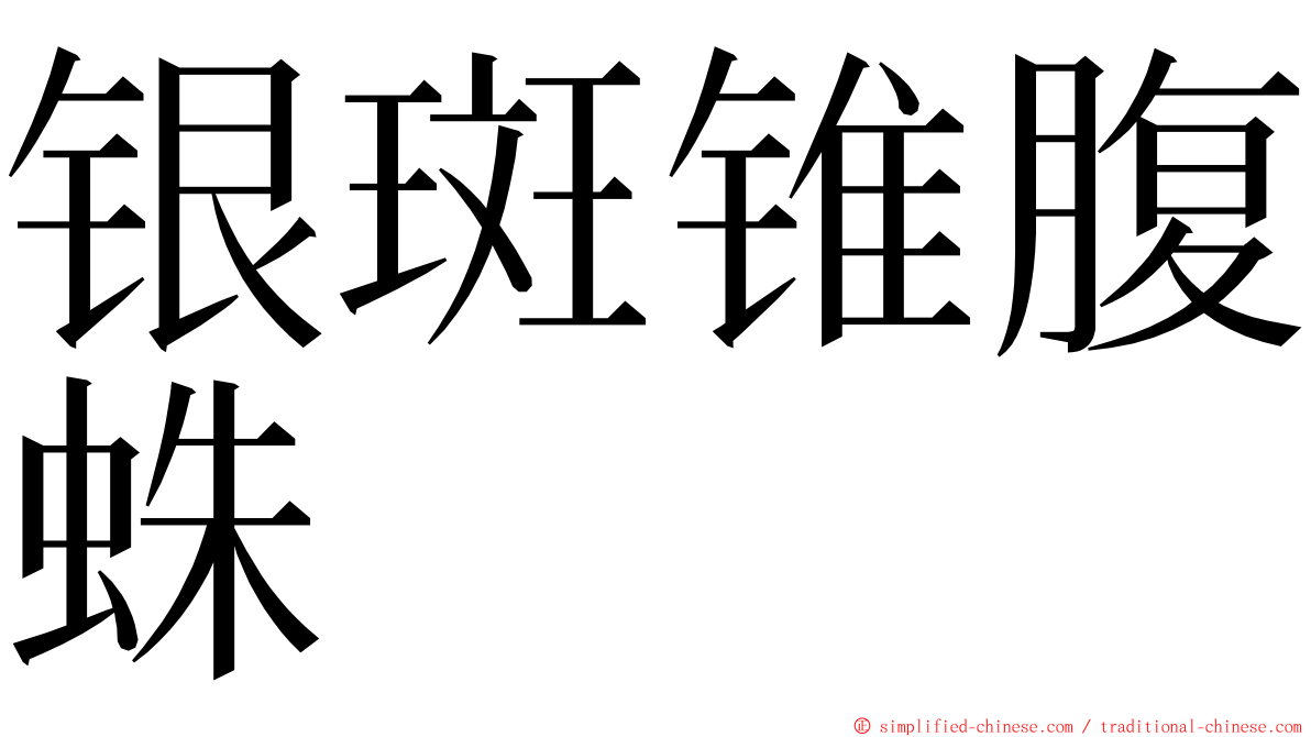 银斑锥腹蛛 ming font