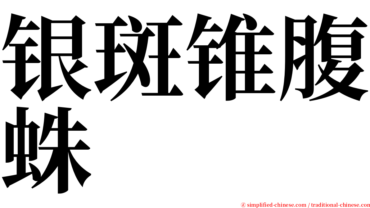 银斑锥腹蛛 serif font