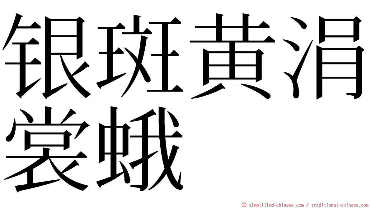 银斑黄涓裳蛾 ming font