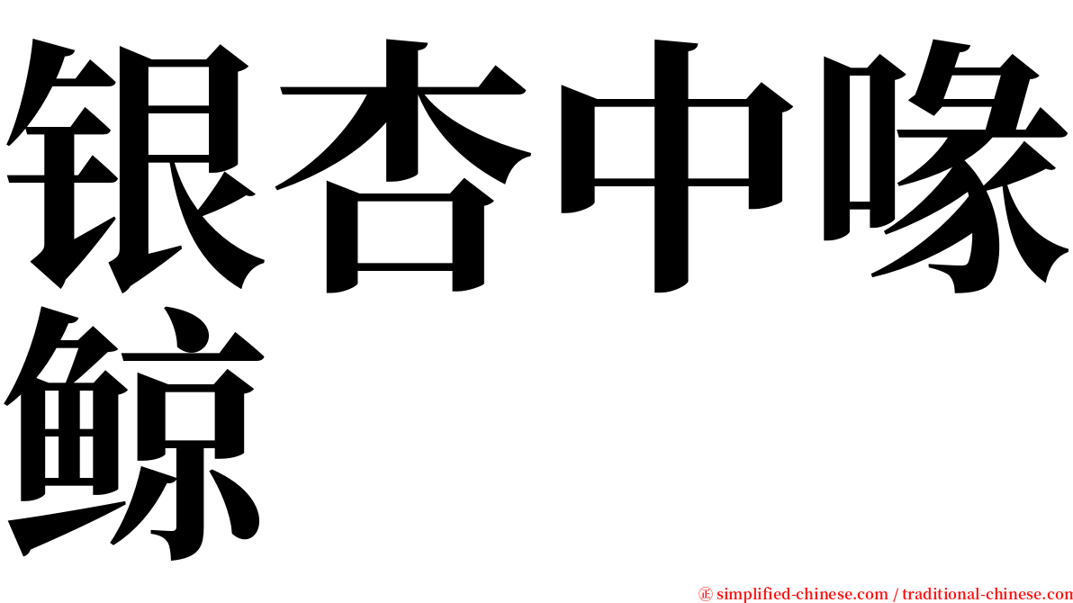 银杏中喙鲸 serif font