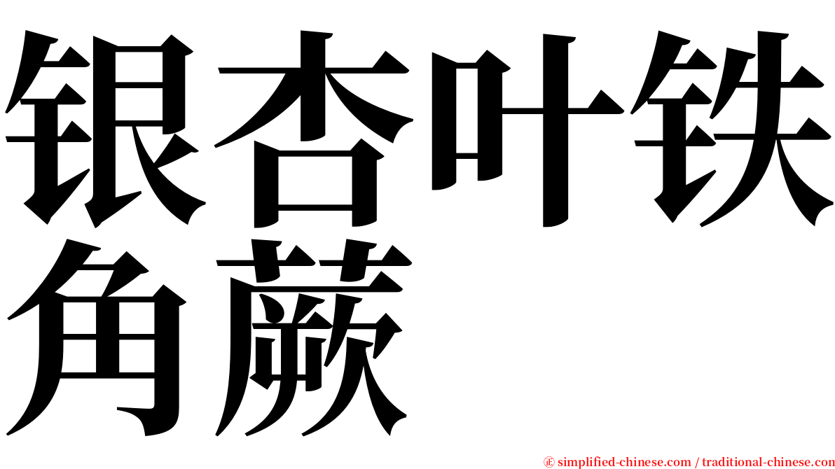 银杏叶铁角蕨 serif font