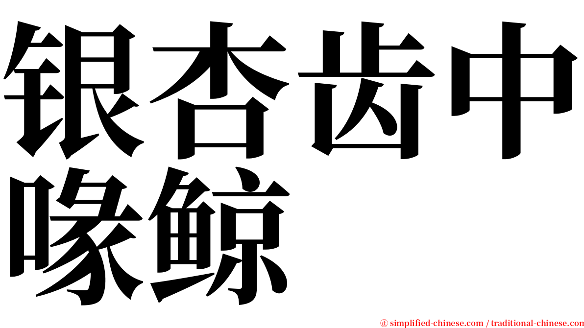 银杏齿中喙鲸 serif font