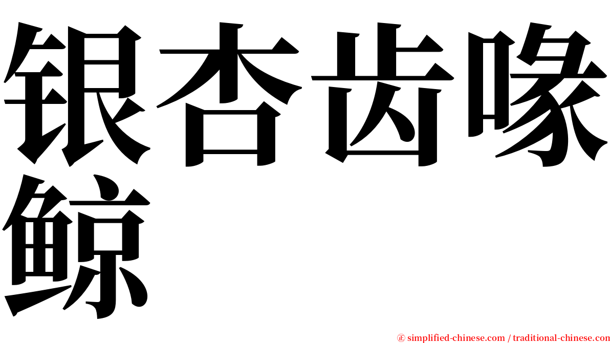 银杏齿喙鲸 serif font