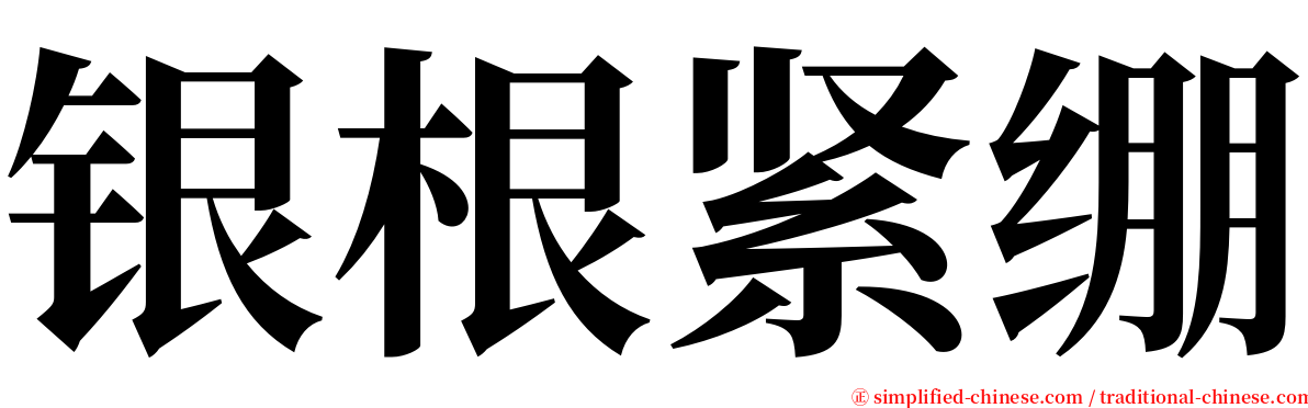 银根紧绷 serif font