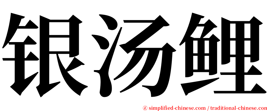 银汤鲤 serif font