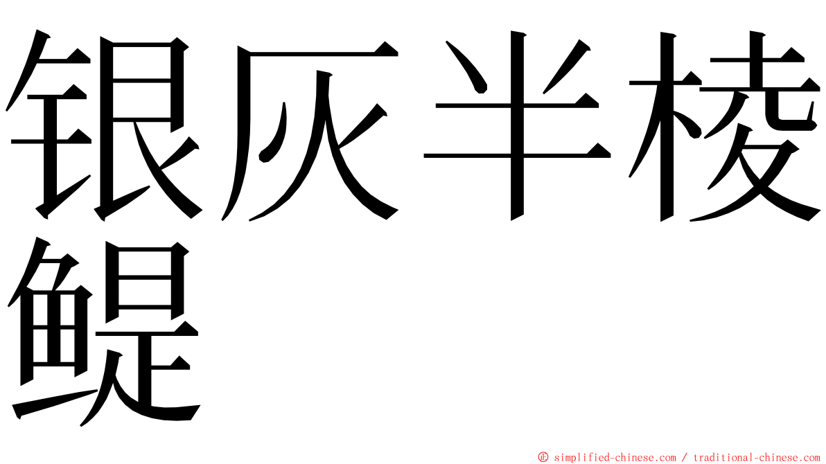 银灰半棱鳀 ming font