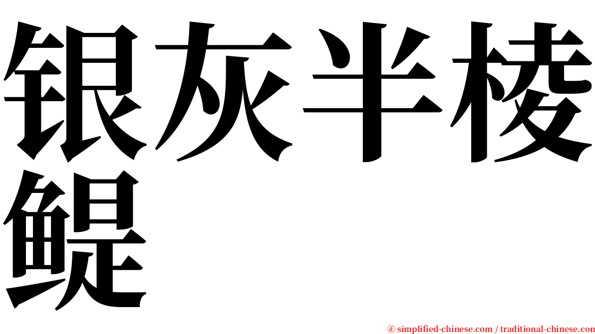 银灰半棱鳀 serif font