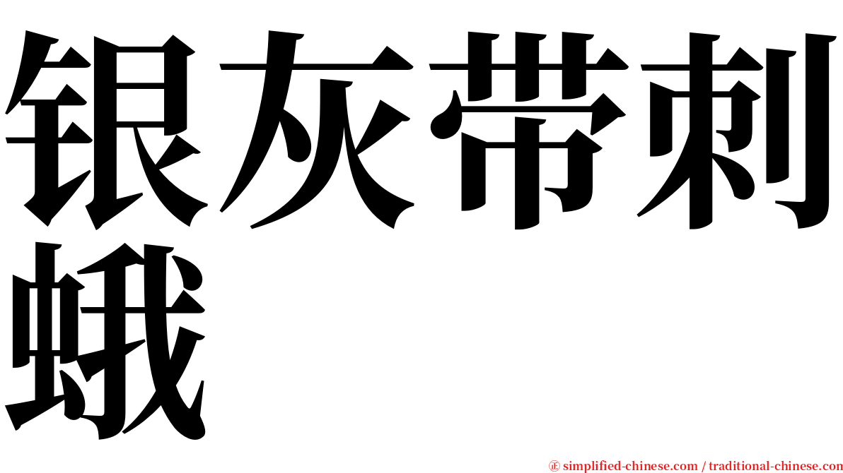 银灰带刺蛾 serif font