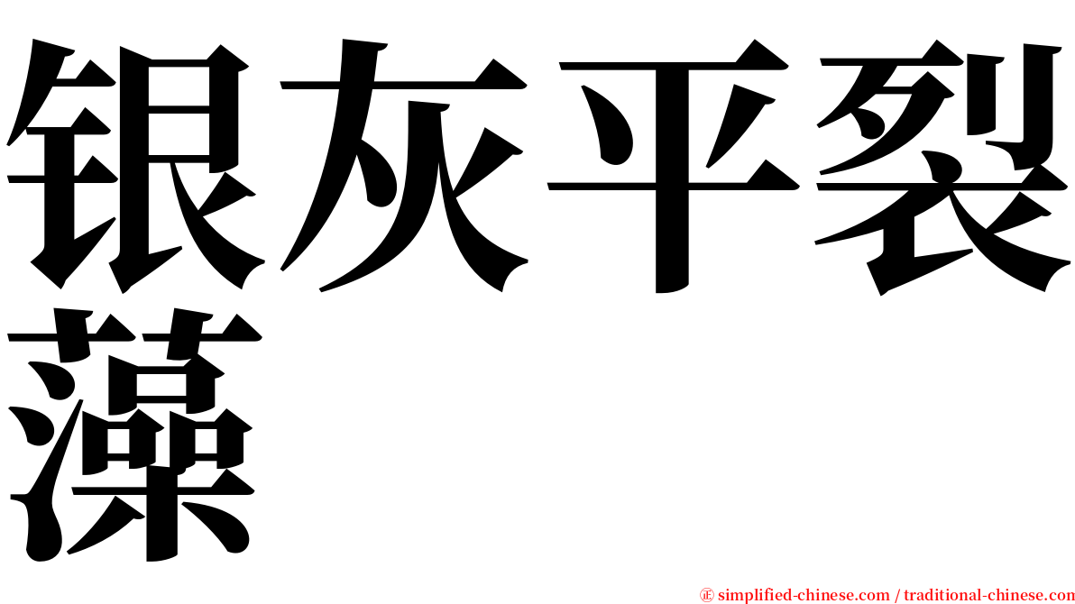 银灰平裂藻 serif font