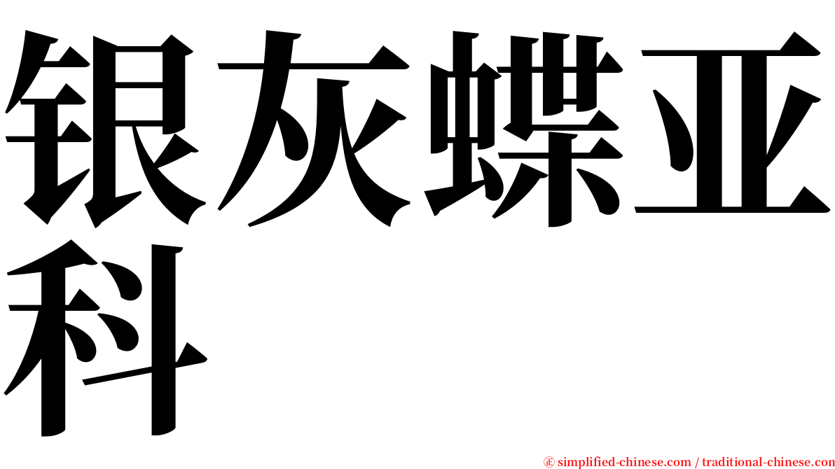 银灰蝶亚科 serif font