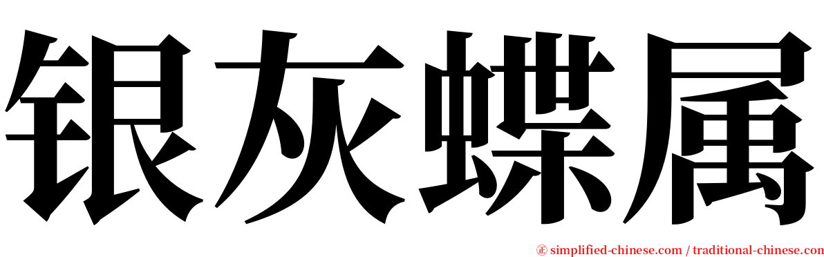 银灰蝶属 serif font